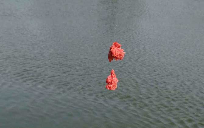 水库钓鱼有哪些技巧？掌握这6个钓鱼技巧，大鲫大鲤不再是梦！-第4张图片