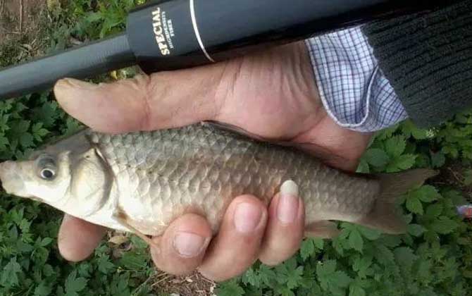传统钓是什么意思？-第4张图片