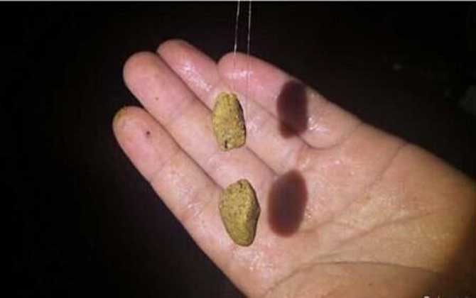 搓饵怎么开附钩性才强？-第4张图片