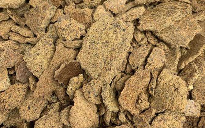 蚯蚓钓鱼用什么打窝料最好?首选酒米,其次是发酵五谷杂粮等!-第3张图片 蚯蚓钓鱼用什么打窝料最好?首选酒米,其次是发酵五谷杂粮等!-第3张图片