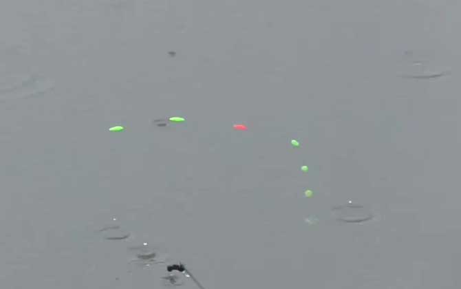初夏钓鱼钓多深合适？-第3张图片