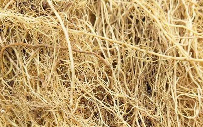 中药钓鱼最牛配方大全-第3张图片