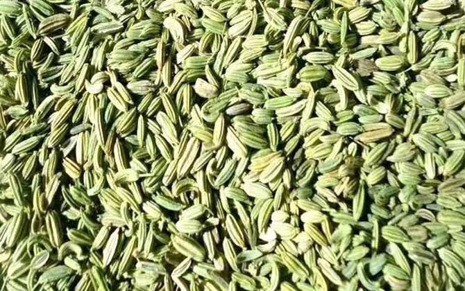 中药钓鱼最牛配方大全-第4张图片