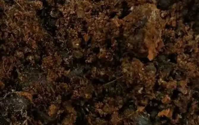 中药钓鱼最牛配方大全-第8张图片