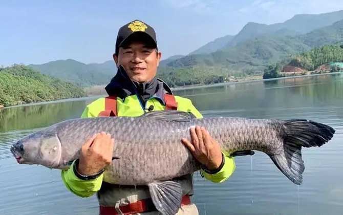 中国钓鱼界四大天王是哪四位？-第2张图片