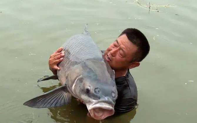 中国钓鱼界四大天王是哪四位？-第3张图片