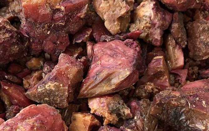 阿魏钓鱼,正确用法,参考用量,最佳配方-第4张图片
