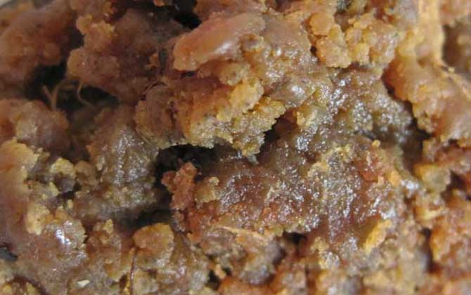 阿魏钓鱼,正确用法,参考用量,最佳配方-第6张图片